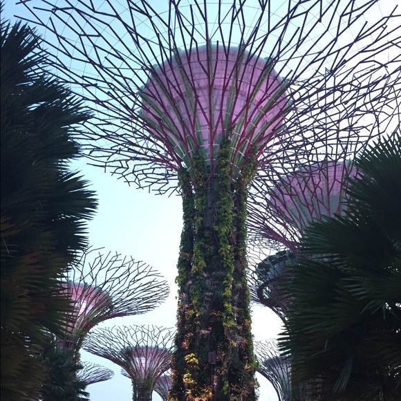 Meet your Posher, Jess - Picture 1 of 1